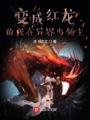 艳婢桃儿包书