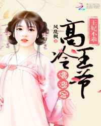 杨家将杨门婬将小说