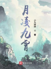 穿越优质JY收集系统游戏