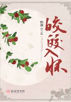轩辕大宝未删节全文