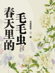 训龙高手2在线观看