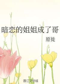 我的世界活塞门