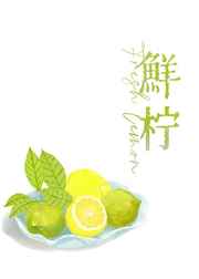 49炮免费视频在线观看
