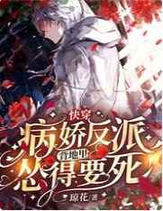 妻子的悲哀系列小说