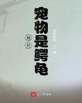 色老汉网站