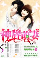 小说童林传全集
