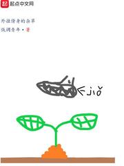 与动物人一级录像观看