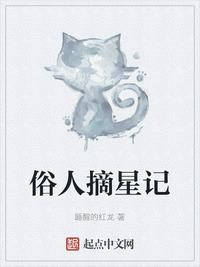 黑狐之风影电视剧免费观看全集