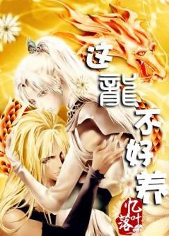 幻星辰网站入口192.168.0.1