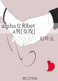 餐桌布