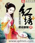 美国大片b站免费观看