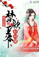 程少商凌不疑小说