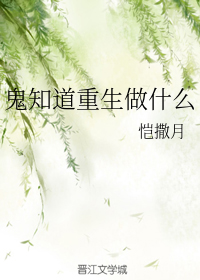 一路向西720p