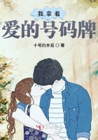 紫夜视频