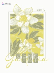 美好生活免费观看完整版电视剧
