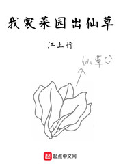 我的盗墓生涯