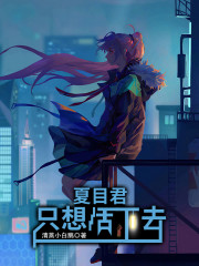 flv视频播放器