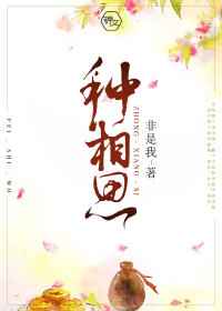 单反推荐