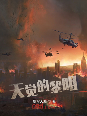 爱插视频