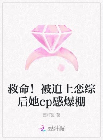淑女的欲望完整版
