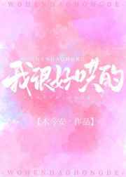 91大神探花