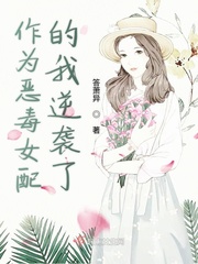卡片战斗先导者第二季