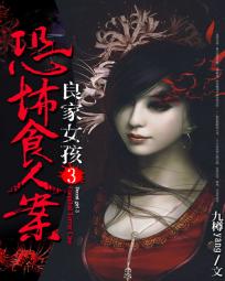 追击者电视剧