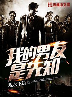 《升迁之路之非常秘书》小说