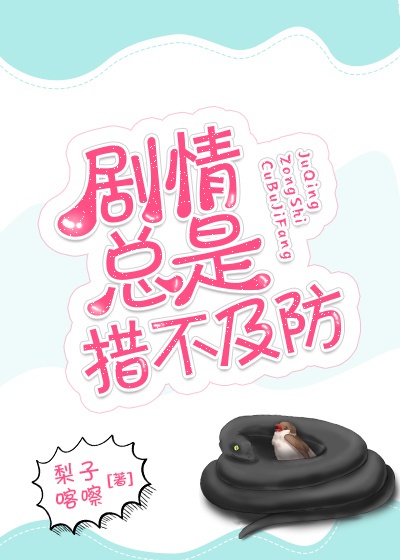dvd一级碟片