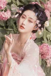 会长是女仆大人无删减