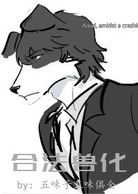 猫咪602tt