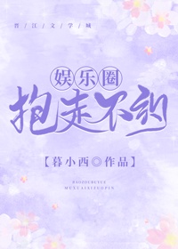 红楼梦艳情版在线观看