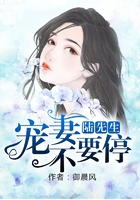 胡悦小说