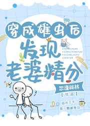 布衣官道txt