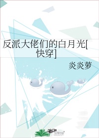 中国小鲜肉twinktube