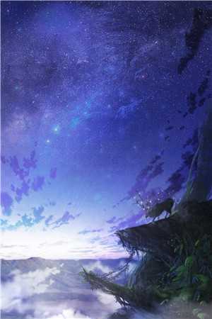 午夜频道