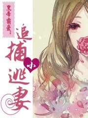 八戒午夜理伦影片