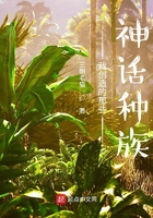 皇族战队