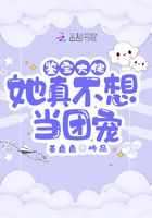 雷安车文