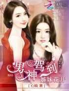 杨羽小说免费读