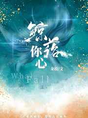野鸡网最新网站