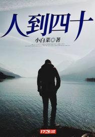叶风云陆一曼小说
