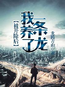 yellow片高清中文