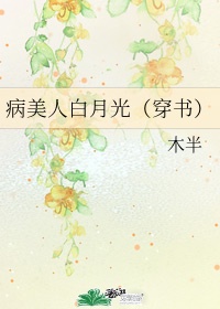 acome小鸟
