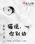 贼王之王