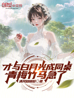 永不回头电视剧完整版免费观看