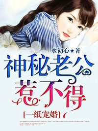 岳母的简介电影