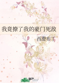 南拳王