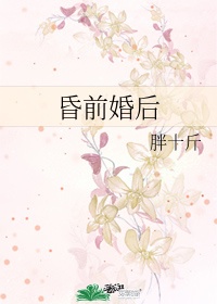空姐h