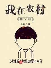 百宝袋汉化